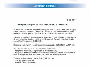 Grant pentru capital de lucru la SC PAINE LA LARISA SRL
