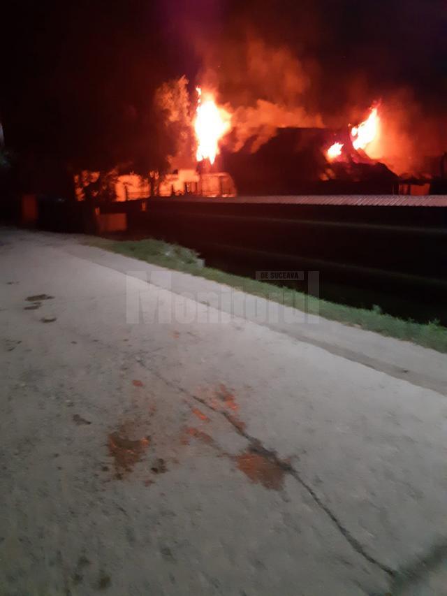 Nu mai puțin de șase incendii au fost provocate intenționat de piroman