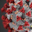 Județul Suceava, locul trei pe țară la numărul de cazuri noi de coronavirus