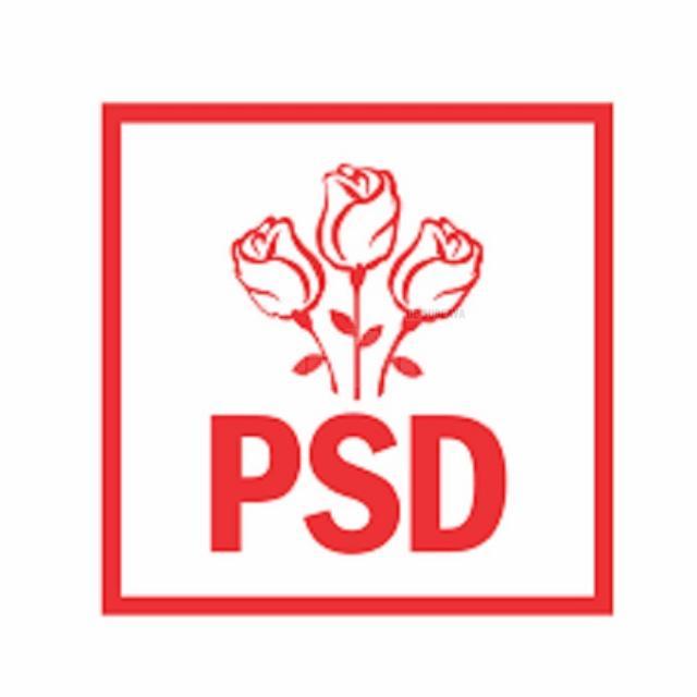 PSD Suceava: Gheorghe Flutur a abandonat investițiile în drumurile județene aprobate de Guvernarea PSD