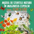 Concursul de machete „Muzeul de Ştiinţele Naturii în imaginația copiilor”