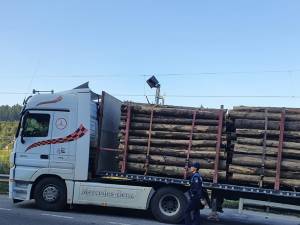 Camion cu lemne confiscat