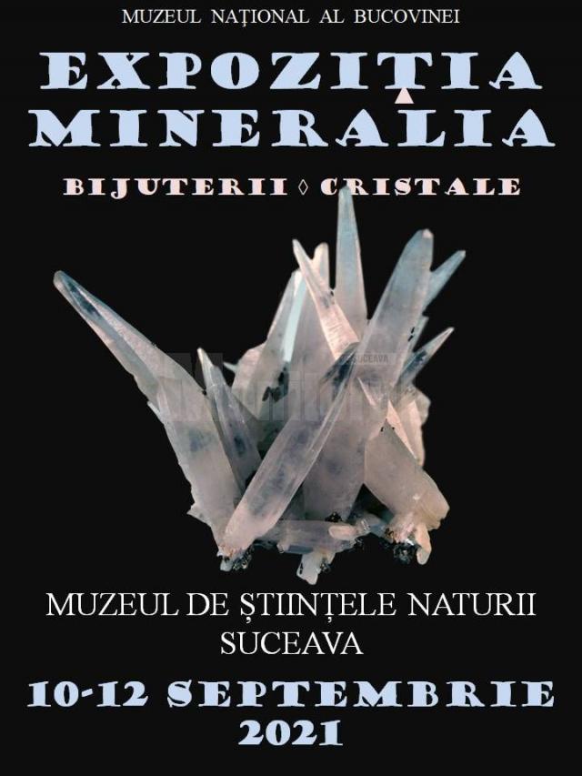 Pietre brute, pietre montate ca bijuterii, pietre cristalizate, pietre şlefuite, la expoziția „Mineralia”
