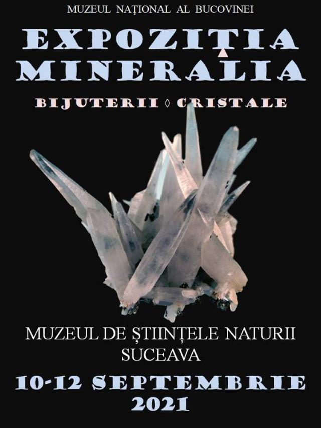 Pietre brute, pietre montate ca bijuterii, pietre cristalizate, pietre şlefuite, la expoziția „Mineralia”