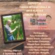 Tablourile realizate de artiști în Tabăra de artă plastică „Tiberiu Cosovan”, expuse ...