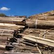 Operatorul economic din Moldovița nu a putut prezenta justificări pentru 82,56 mc de masă lemnoasă în plus față ce de avea în acte 2