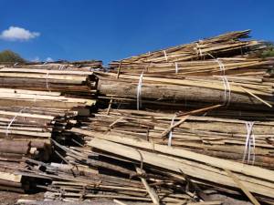 Operatorul economic din Moldovița nu a putut prezenta justificări pentru 82,56 mc de masă lemnoasă în plus față ce de avea în acte 2