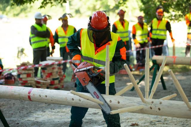 Județul Suceava a obținut un loc fruntaș la competiția profesională a muncitorilor din silvicultură, care a avut loc la Iași