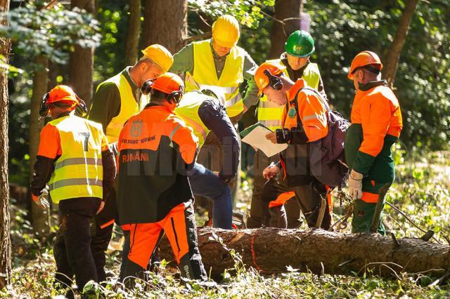 Suceava a obținut locul III pe țară la competiția muncitorilor din silvicultură