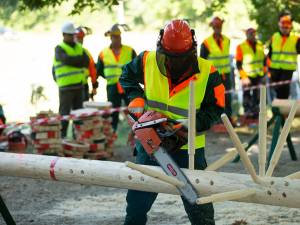 Suceava a obținut locul III pe țară la competiția muncitorilor din silvicultură