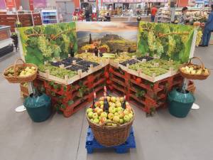 Târgul de Vinuri Auchan, cu peste 330 de sortimente de vinuri românești și moldovenești