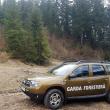 Arbori tăiați ilegal la Ocolul Silvic Dealul Negru, depistați în urma sesizării unui jurnalist