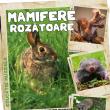 Lecții muzeale, la Muzeul de Științele Naturii Suceava