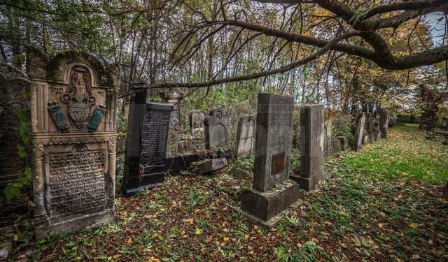 Cimitirul evreiesc din Rădăuți va fi integrat într-un circuit turistic despre istoria orașului