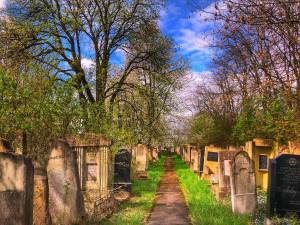 Cimitirul evreiesc din Rădăuți va fi integrat într-un circuit turistic despre istoria orașului