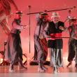 Spectacolul “Micul Prinț”, programat vinerea viitoare pe scena teatrului sucevean, suspendat