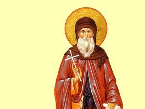 Sfântul Dimitrie cel Nou în istoria mai veche şi mai nouă a Bucureştiului