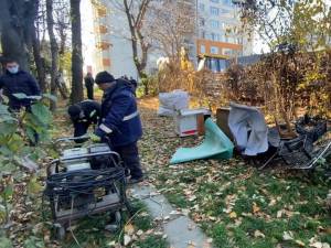Adăpost ilegal de câini amenajat între blocuri, desființat de Primăria Suceava