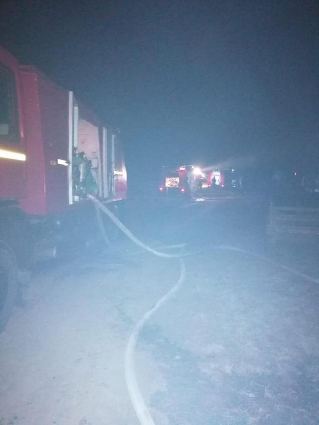 Vaci, porci, păsări și o întreagă gospodărie au ars într-un devastator incendiu