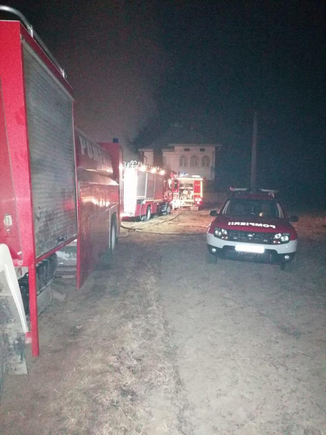 Vaci, porci, păsări și o întreagă gospodărie au ars într-un devastator incendiu