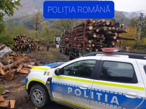 Controale în trafic asupra vehiculelor încărcate cu lemn