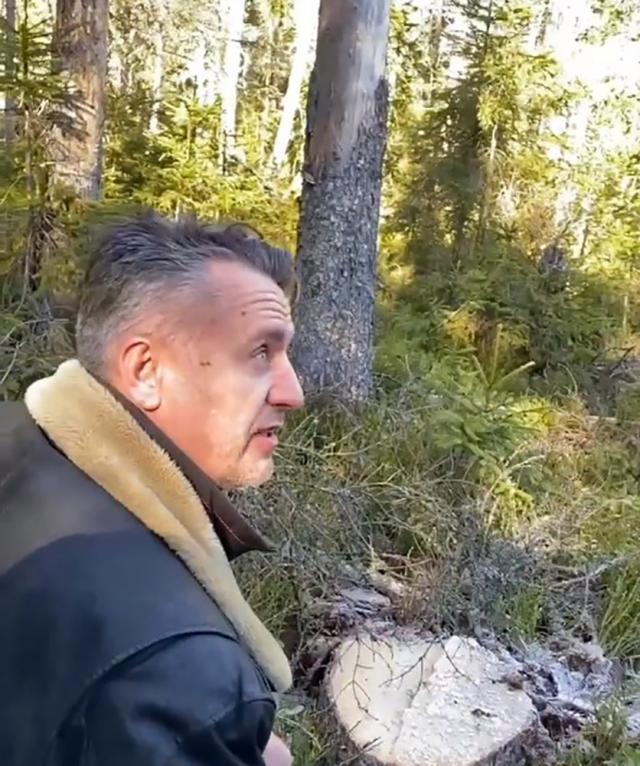 Încă o tăiere ilegală de arbori într-o pădure privată de la OS Dealu Negru