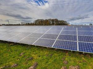 Primăria Suceava vrea să amenajeze un parc fotovoltaic de 30 de hectare