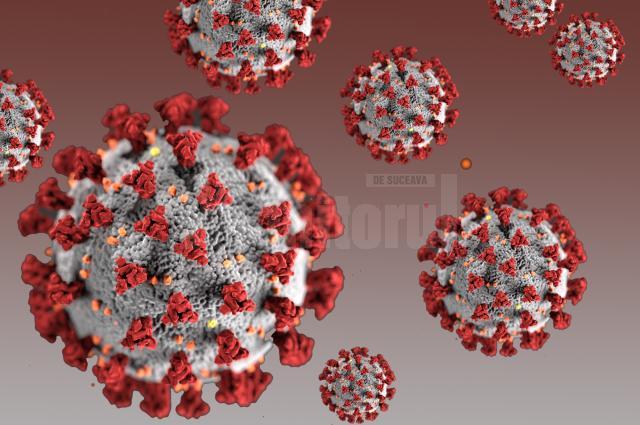 Doar 48 de cazuri noi de coronavirus în județul Suceava