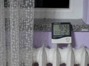 termometru casa radauti