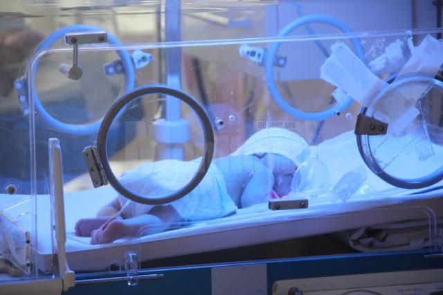 În primele 10 luni ale anului, în Suceava s-au născut prematur 248 de copii