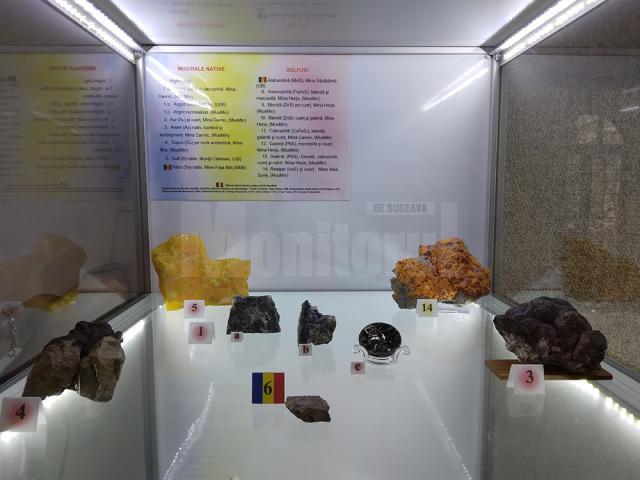 122 de eşantioane mineralogice spectaculoase, descoperite în România, expuse la Muzeul de Științele Naturii Suceava