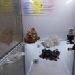 122 de eşantioane mineralogice spectaculoase, descoperite în România, expuse la Muzeul de Științele Naturii Suceava