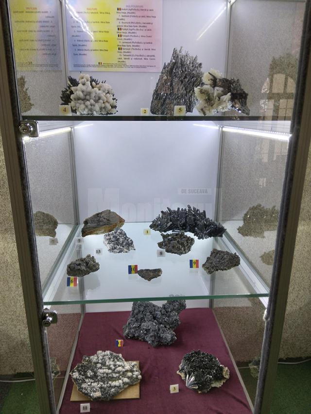 122 de eşantioane mineralogice spectaculoase, descoperite în România, expuse la Muzeul de Științele Naturii Suceava