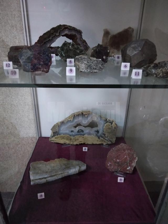 122 de eşantioane mineralogice spectaculoase, descoperite în România, expuse la Muzeul de Științele Naturii Suceava