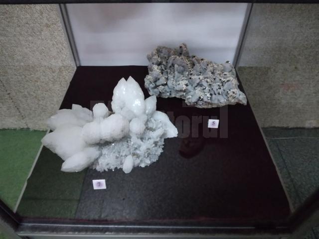 122 de eşantioane mineralogice spectaculoase, descoperite în România, expuse la Muzeul de Științele Naturii Suceava