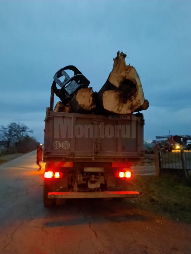 Transportul de lemn fără acte
