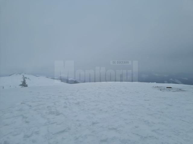 God galben de vânt puternic și ninsoare viscolită valabil astăzi în zona de munte a județului Suceava