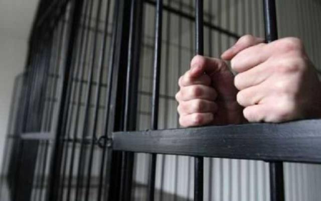 Tâlharii din parcul Șipote, condamnați la pedepse cu executare