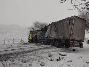 Accident E 85, Roșiori