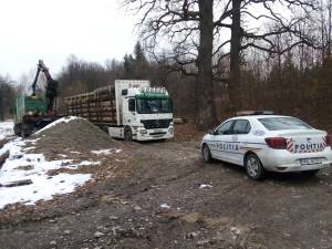 Tir de 35.000 de euro, confiscat cu tot cu 35 de mc lemn transportat ilegal