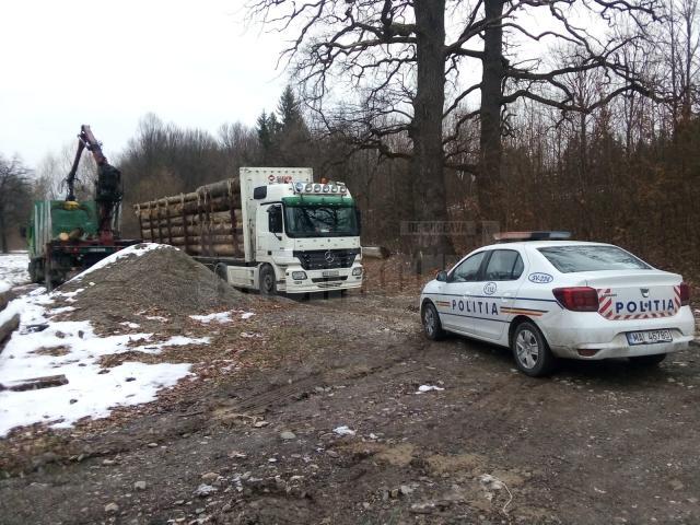 Tir de 35.000 de euro, confiscat cu tot cu 35 de mc lemn transportat ilegal