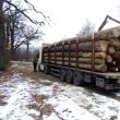 Tir de 35.000 de euro, confiscat cu tot cu 35 de mc lemn transportat ilegal