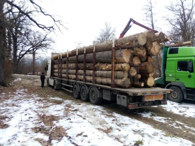 Tir de 35.000 de euro, confiscat cu tot cu 35 de mc lemn transportat ilegal