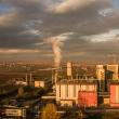 Reglementarea funcționării centralelor pe biomasă, în atenția Guvernului
