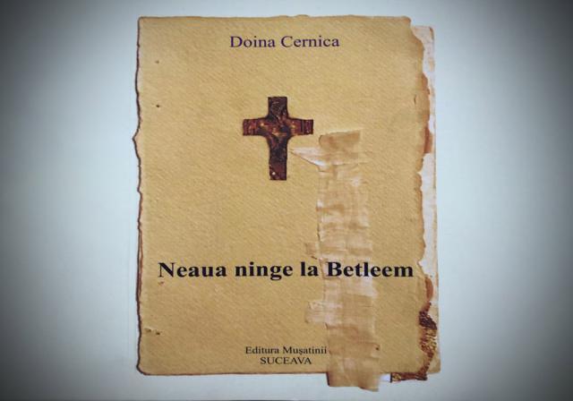 Ninsoarea logosului doinit