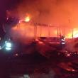 Patru persoane au suferit arsuri, iar opt vaci au ars de vii într-un devastator incendiu