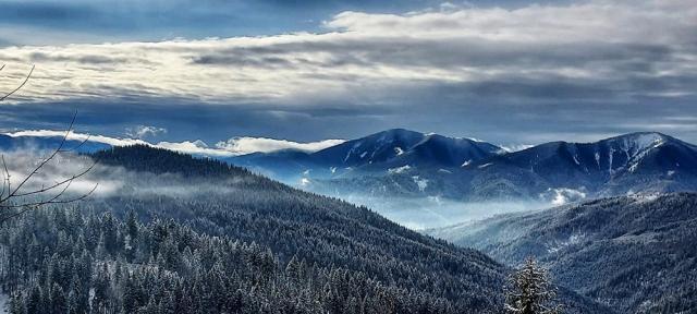 Pasul Tarnița sau Pasul Puzdra, o pitorească trecătoare situată la 1161 m altitudine, care face legătura între valea Bistriței și Depresiunea Ostra  Foto RNP