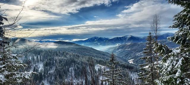 Pasul Tarnița sau Pasul Puzdra, o pitorească trecătoare situată la 1161 m altitudine, care face legătura între valea Bistriței și Depresiunea Ostra  Foto RNP