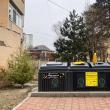 Brazii de Crăciun se vor ridica gratuit de lângă punctele de colectare selectivă