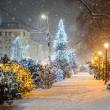 Iluminatul ornamental din Suceava în iarna 2021 - 2022 2